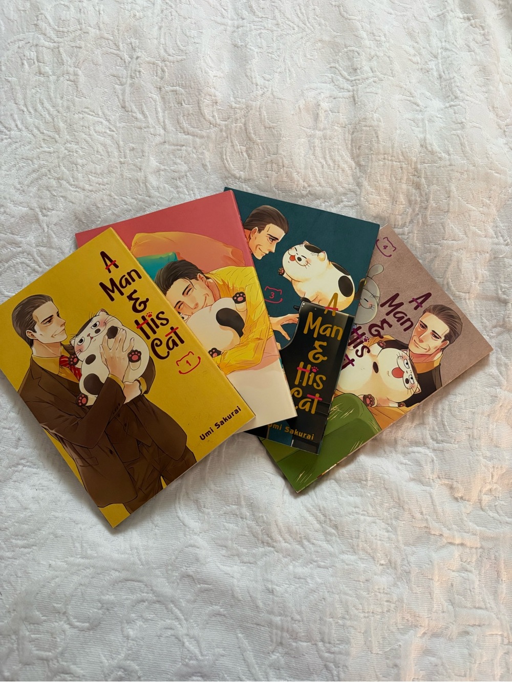 A Man & His Cat Illustrated Book Set (1-4)